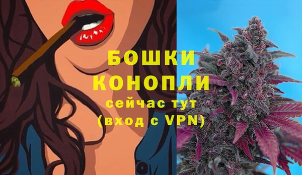 шишки Володарск