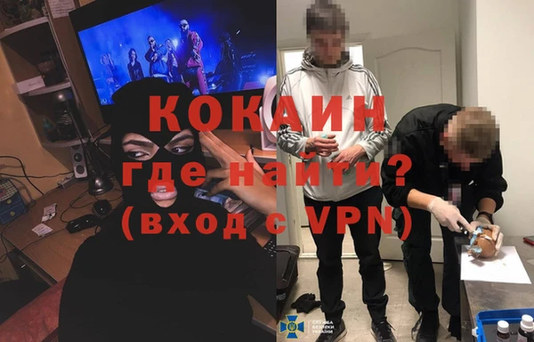шишки Володарск