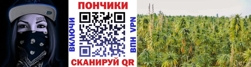 МАРИХУАНА Ganja Мончегорск