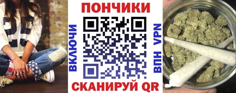 Конопля сатива  Мончегорск 